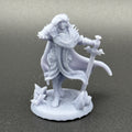 Sebastian Human Paladin unpainted resin miniature